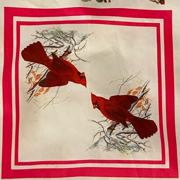 Vtg 1975 National Wildlife Federation Protect our Songbirds Square Scarf 22"x22" - Picture 4 of 10